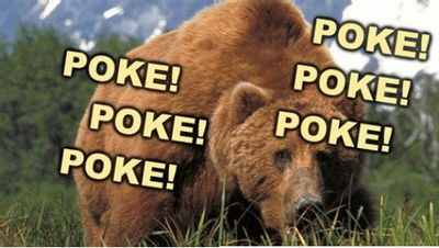 poke-poke-poke-poke-poke-poke-dont-poke-bear-funny-54339387~2.png